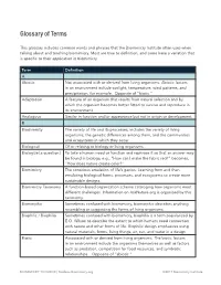 Glossary of Terms