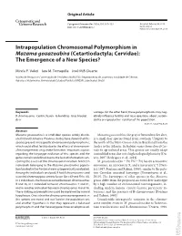 Intrapopulation Chromosomal Polymorphism in Mazama Gouazoubira (Cetartiodactyla; Cervidae): the Emergence of a New Species?