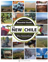 New Chile Essential Guide