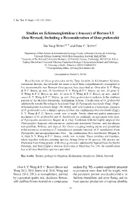 Studies on Schismatoglottideae (Araceae) of Borneo LI: Ooia Revised, Including a Reconsideration of Ooia Grabowskii