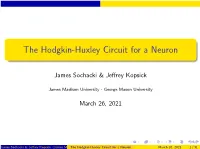 The Hodgkin-Huxley Circuit for a Neuron