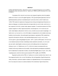 ABSTRACT EVANS, MATTHEW RICHARD. Global Effects of The