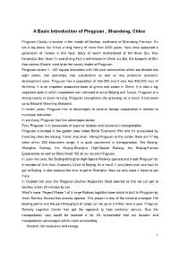 A Basic Introduction of Pingyuan , Shandong, China
