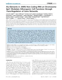 Alu Elements in ANRIL Non-Coding RNA at Chromosome 9P21 Modulate Atherogenic Cell Functions Through Trans-Regulation of Gene Networks