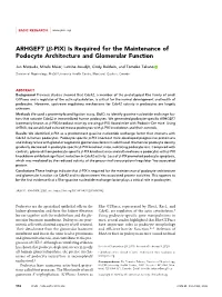 ARHGEF7 (B-PIX) Is Required for the Maintenance of Podocyte Architecture and Glomerular Function