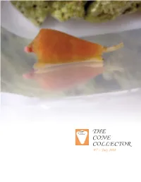 The Cone Collector