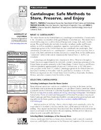 Cantaloupe: Safe Methods to Store, Preserve, and Enjoy