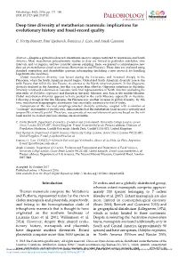 Deep Time Diversity of Metatherian Mammals: Implications for Evolutionary History and Fossil-Record Quality