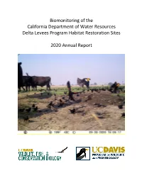 2020 Annual Report