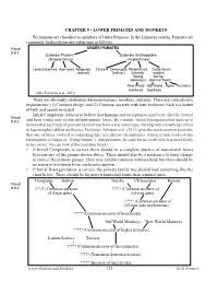 CHAPTER 9 - LOWER PRIMATES and MONKEYS We Humans Are Classified As Members of Order Primates