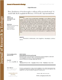 Full Text (.PDF)