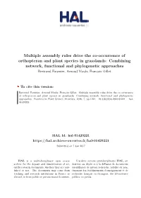 Multiple Assembly Rules Drive the Co-Occurrence of Orthopteran And