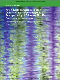 Aging Human Hematopoietic Stem Cells Manifest Profound Epigenetic Reprogramming of Enhancers That May Predispose to Leukemia