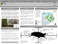Distribution, Occupancy, and Mercury Load in Texas Alligator Snapping