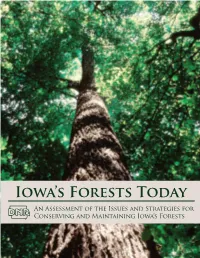 Iowa's Forests Today