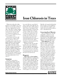 Iron Chlorosis in Trees