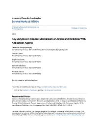 Key Enzymes in Cancer: Mechanism of Action and Inhibition with Anticancer Agents