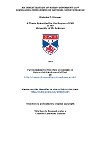 Nicholas P Kinnear Phd Thesis