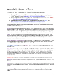 Appendix B – Glossary of Terms