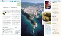 Dolmades in Thessaloniki Tables While Genteel Waiters Ply Them with a Parade of Little Dishes