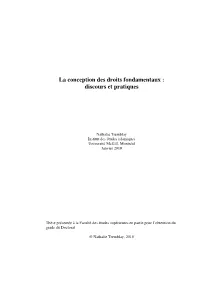 La Conception Des Droits Fondamentaux : Discours Et Pratiques