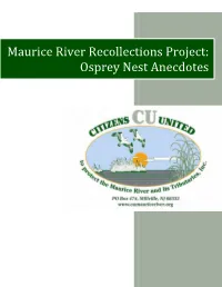 Maurice River Recollections Project: Osprey Nest Anecdotes