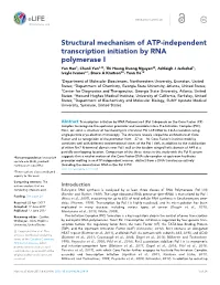 Structural Mechanism of ATP-Independent Transcription