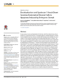 Decidualization and Syndecan-1 Knock Down Sensitize Endometrial Stromal Cells to Apoptosis Induced by Embryonic Stimuli