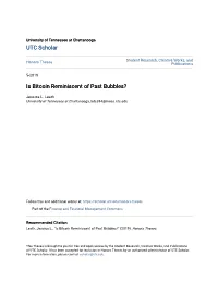 Is Bitcoin Reminiscent of Past Bubbles?