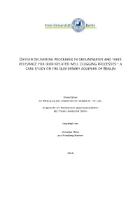 Oxygen Delivering Processes in Groundwater and Their Relevance for Iron -Related Well Clogging Processes – a Case Study on the Quaternary Aquifers of Berlin