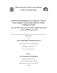 Detection and Identification of Seed-Borne- Fungi Of
