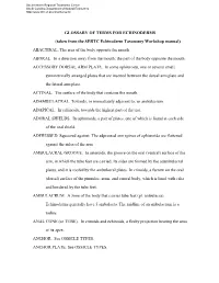 Glossary of Terms for Echinoderms