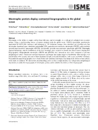 Mixotrophic Protists Display Contrasted Biogeographies in the Global Ocean