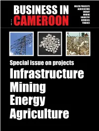 Special Issue on Projects Infrastructure Mining Energy Agriculture