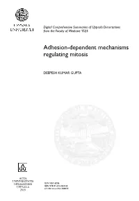 Adhesion-Dependent Mechanisms Regulating Mitosis