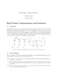 Ideal Chain Conformations and Statistics