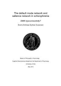 The Default Mode Network and Salience Network in Schizophrenia