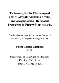 To Investigate the Physiological Role of Arcuate Nucleus Cocaine- and Amphetamine- Regulated Transcript in Energy Homeostasis