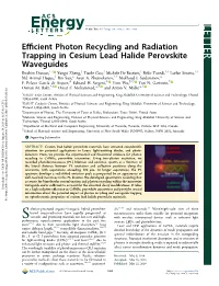 Efficient Photon Recycling and Radiation Trapping in Cesium Lead