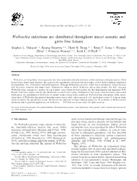Wolbachia Infections Are Distributed Throughout Insect Somatic and Germ Line Tissues Stephen L