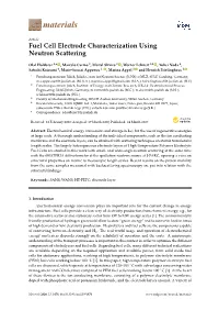 Fuel Cell Electrode Characterization Using Neutron Scattering