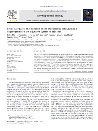 Sec13 Safeguards the Integrity of the Endoplasmic Reticulum and Organogenesis of the Digestive System in Zebraﬁsh