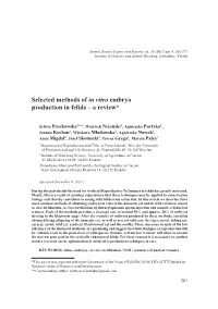 Selected Methods of in Vitro Embryo Production in Felids – a Review*