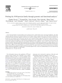 Probing the S100 Protein Family Through Genomic and Functional Analysis$
