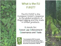 What Is EU FLEGT