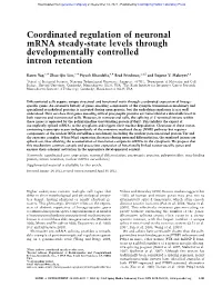 Coordinated Regulation of Neuronal Mrna Steady-State Levels Through Developmentally Controlled Intron Retention