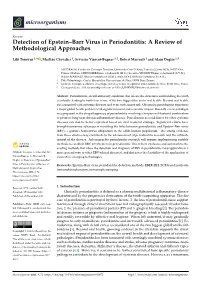 Detection of Epstein–Barr Virus in Periodontitis: a Review of Methodological Approaches