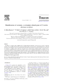 Identification of Crotasin, a Crotamine-Related Gene of Crotalus