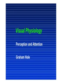 Visual Physiology