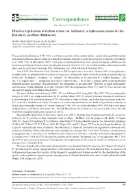 Effective Typification of Galium Verum Var. Hallaensis, a Replacement Name for the Korean G